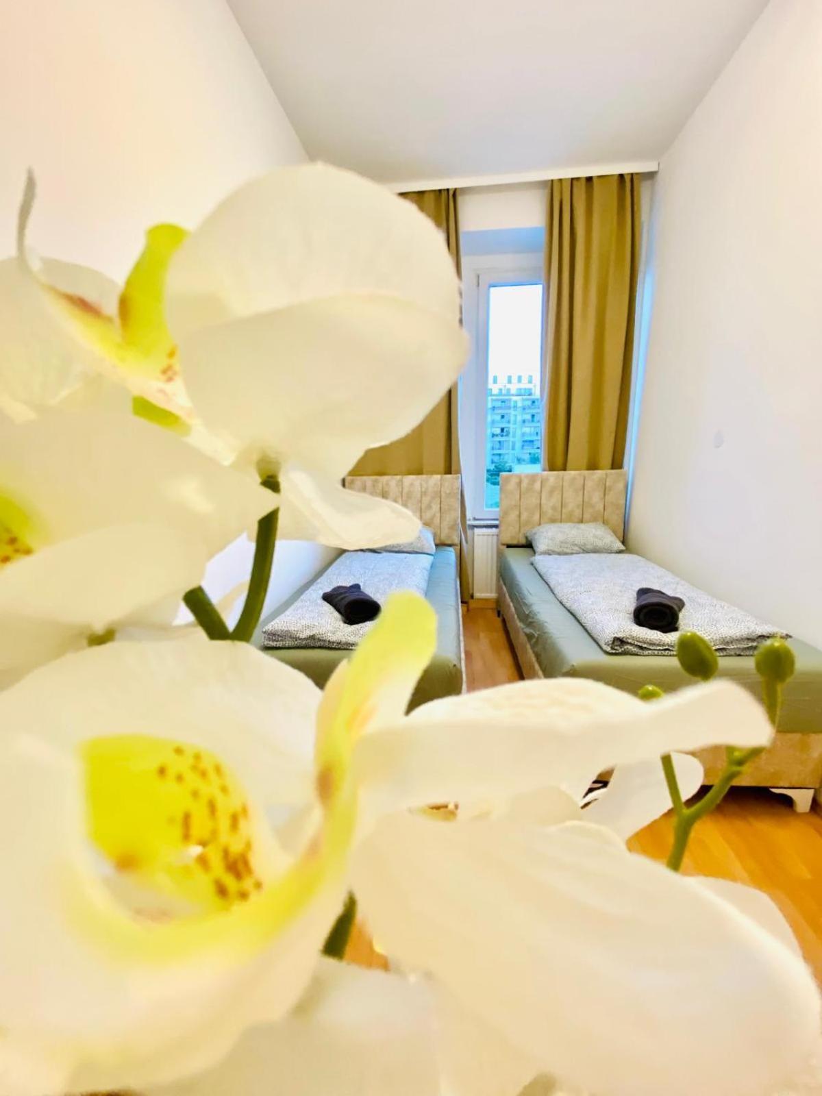 Bright 5br W Great Transport Link Apartment Wien