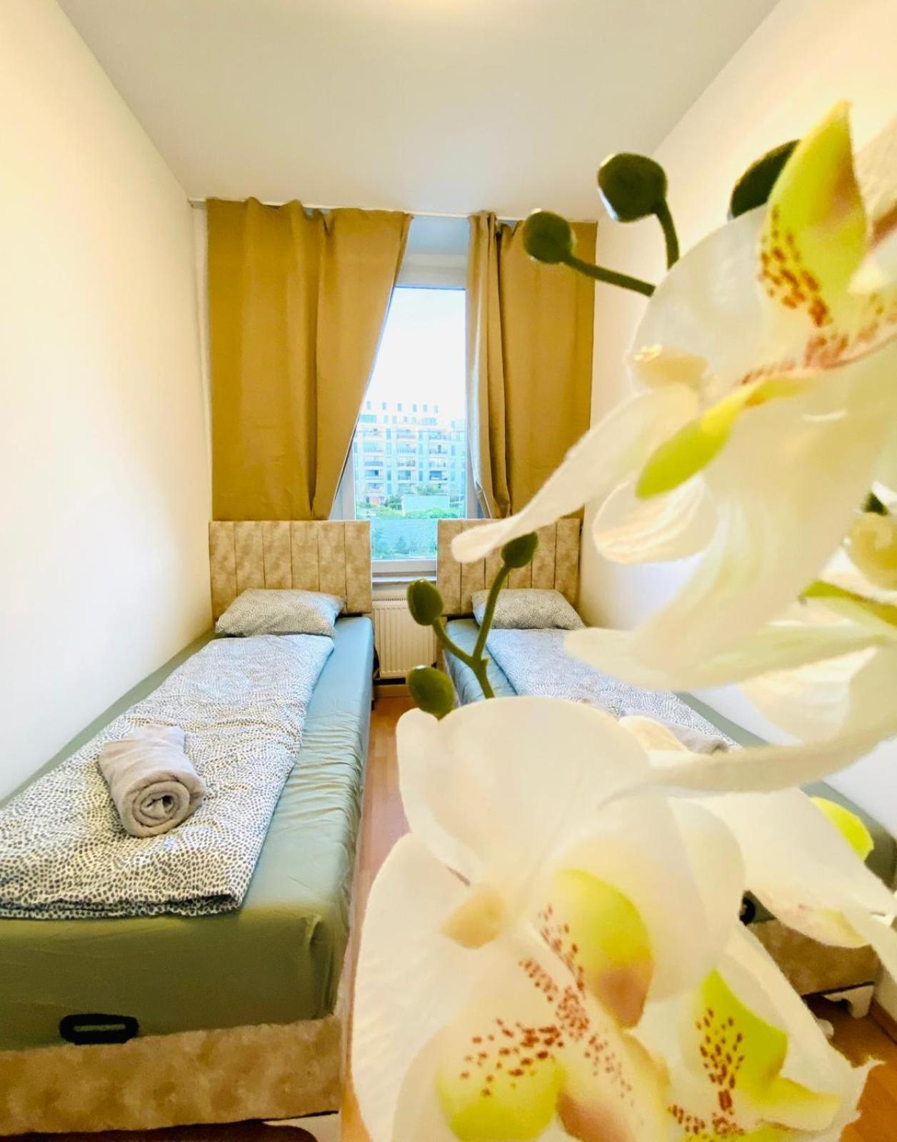 Bright 5br W Great Transport Link